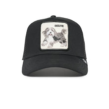 Carica l&#39;immagine nel visualizzatore di Gallery, Cappello Goorin Bros The Bestie Dog