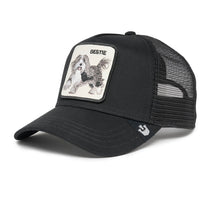 Carica l&#39;immagine nel visualizzatore di Gallery, Cappello Goorin Bros The Bestie Dog