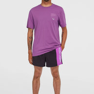 T-shirt O'Neill Original Retro Graphic