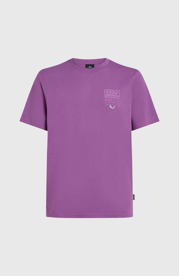 T-shirt O'Neill Original Retro Graphic