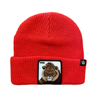 Beanie Goorin Bros Jungle Jangle