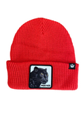 Beanie Goorin Bros Panter Vision