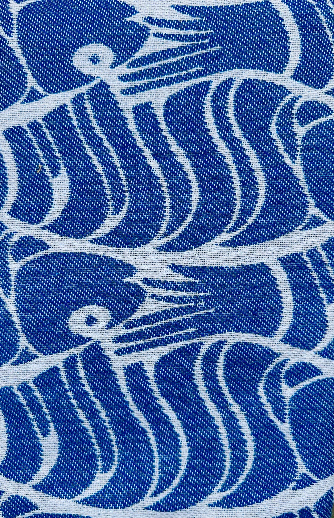 Telo Mare LENA-K Il Pesce