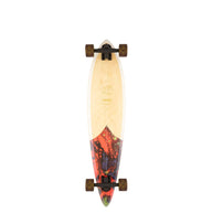Longboard Arbor Groundswell Fish 37''