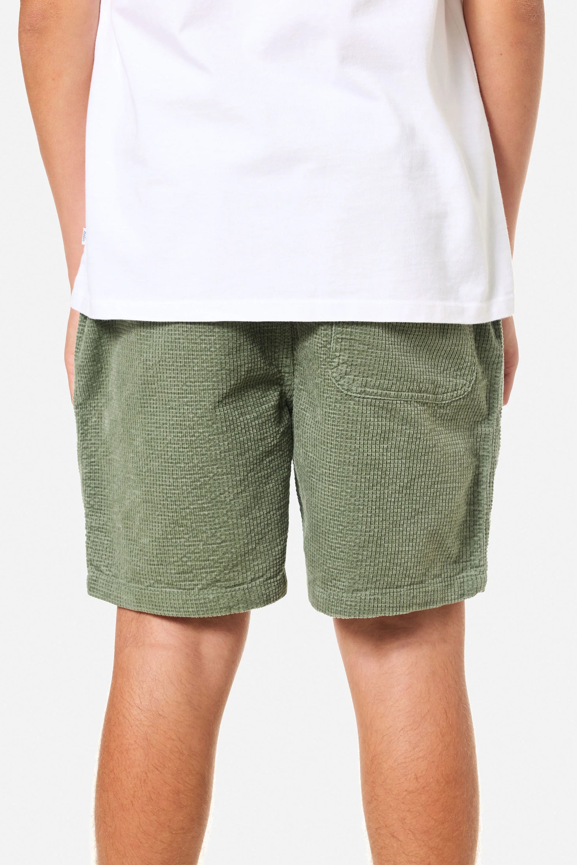 Bermuda Katin Ward Short
