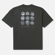 T-shirt Katin Specimen Box Fit Tee
