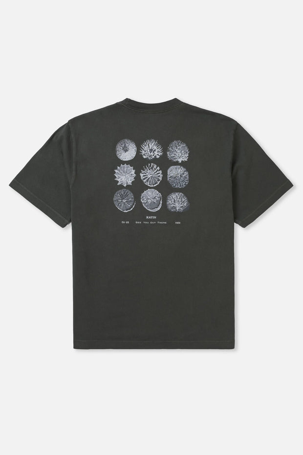 T-shirt Katin Specimen Box Fit Tee