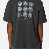 T-shirt Katin Specimen Box Fit Tee
