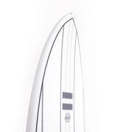 Tavola Surf Indio The Egg 6'8''