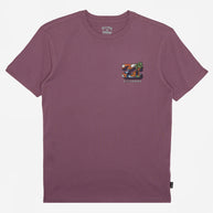 T-shirt Bambino Billabong BBTV
