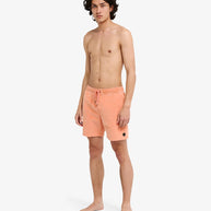 Bermuda Rvca Escape Elastic