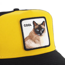 Carica l&#39;immagine nel visualizzatore di Gallery, Cappello Goorin Bros Cool Cat
