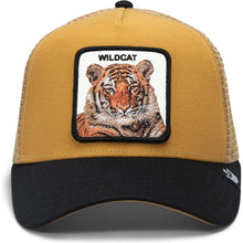 Carica l&#39;immagine nel visualizzatore di Gallery, Cappello Goorin Bros The Wildcat Tiger