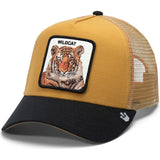 Cappello Goorin Bros The Wildcat Tiger