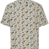Camicia Solid SDllir